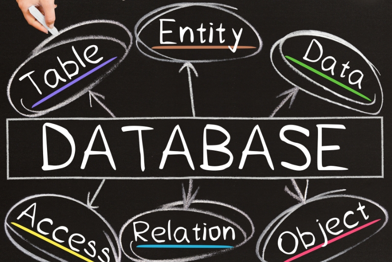 database management